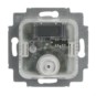 morepic-1