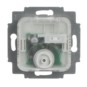 morepic-1