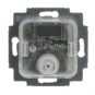 morepic-1