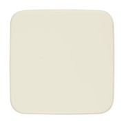 Blindzentralscheibe ws 54x54mm 1576 C-212 