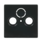 morepic-1