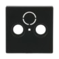 morepic-1
