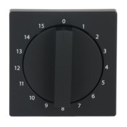 Zentralscheibe sw/matt Bedienelement 1770-885-103 