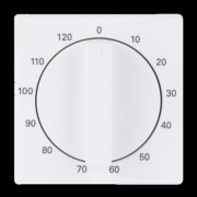 Zentralscheibe stud-ws/mt Bedienelement 1771-884-103 