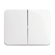 Wippe stws gl Serienschalt/-taster 1785-24G 