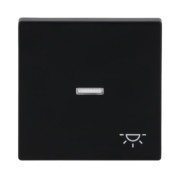 Wippe sw mt mit Symbol Licht 1789 LI-885 