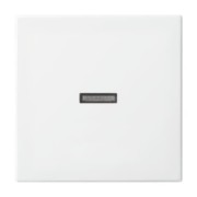 Wippe aws Busch-balance SI 1789 N-914 