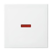 Wippe aws Busch-balance SI 1789-914 