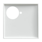 Zentralscheibe alpinws Licht-Ton-Rufsysteme 1790-591-914 
