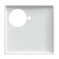 morepic-1