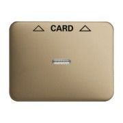 Zentralscheibe brz für Cardschalter 1792-21-101 