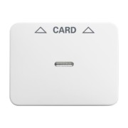 Zentralscheibe stws gl für Cardschalter 1792-24G-101 