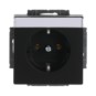 morepic-1