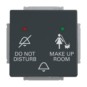 morepic-1
