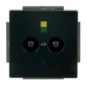 morepic-1