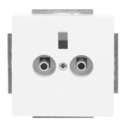 Potentialausgleich dav/sws 2-fach UP 2095 UC-84 