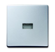 Wippe alusilber Kontroll-Wechsel 2107-33 