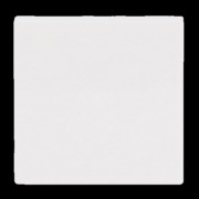 Wippe aws Busch-balance SI 2506-914 