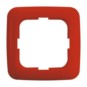 morepic-1