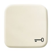 Wippe ws mit Symbol Schlüssel 2520 TR-212 