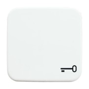 Wippe aws mit Symbol Schlüssel 2520 TR-214 
