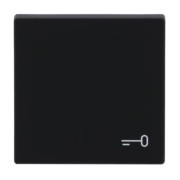 Wippe mit Aufdruck schwarz matt 2520 TR-885 
