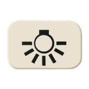 Tastersymbol Licht 2525 LI 