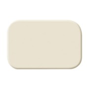 Tastersymbol neutral 2525 N 