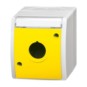 morepic-1