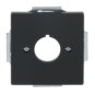 morepic-1