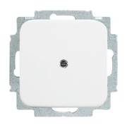 Blindzentralscheibe aws mit Tragring 2538-214 