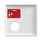 Zentralscheibe alpinws Licht-Ton-Rufsysteme 2548-071 E-914 