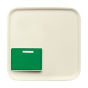 Zentralscheibe weiß Licht-Ton-Rufsysteme 2548-642 C-212-101 