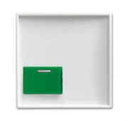 Zentralscheibe alpinws Licht-Ton-Rufsysteme 2548-642 C-914 