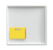Zentralscheibe alpinws Licht-Ton-Rufsysteme 2548-642 D-914 