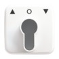 morepic-1