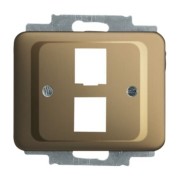 Zentralscheibe brz für 2 Modular Jack 2561-02-21 