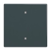 Wippe Elektroniktaster 2570-10-81 