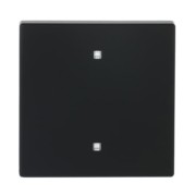 Wippe Elektroniktaster 2570-10-885 