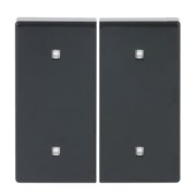Wippe 2-fach Elektroniktaster 2570-20-81 