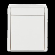 Kreuzschalter 2601/7 W-54 