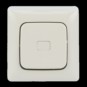 morepic-1