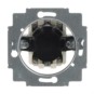 morepic-1