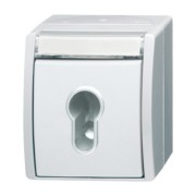Schlüsselschalter 2733 SLW-54 