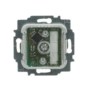 morepic-1