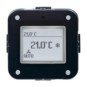 morepic-1