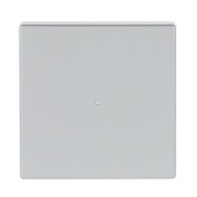 Wippe 1-fach alusilber 6230-10-83 