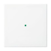 Wippe aws Busch-balance SI 6230-10-914 