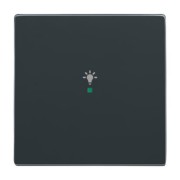 Wippe 1-fach, Symbol Licht anthrazit 6231-10-81 