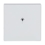 Wippe 1-fach, Symbol Licht alusilber 6231-10-83 